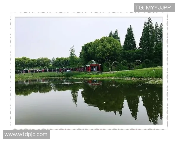 张敏的DOTA2人生深度对话探索游戏背后的热爱与坚持