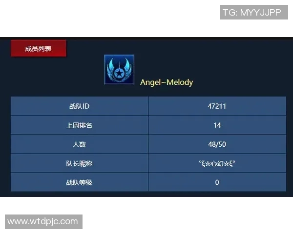 V5战队边路渗透策略分析与成效评估探讨